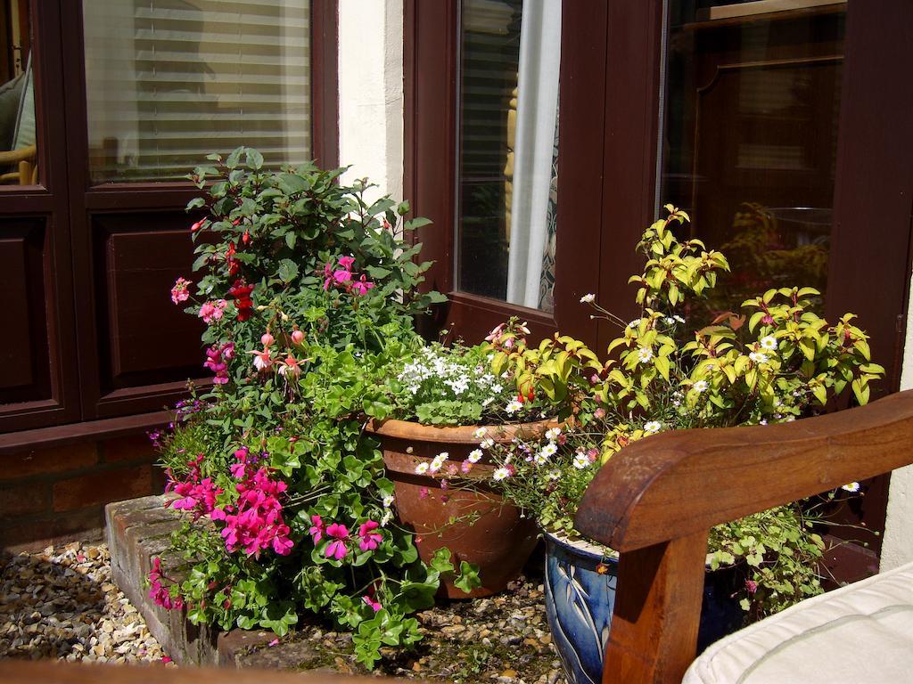 Weston Cottage Poole Ngoại thất bức ảnh